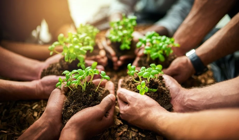 Growing Your Business Through the Principles of Ortho-Bionomy