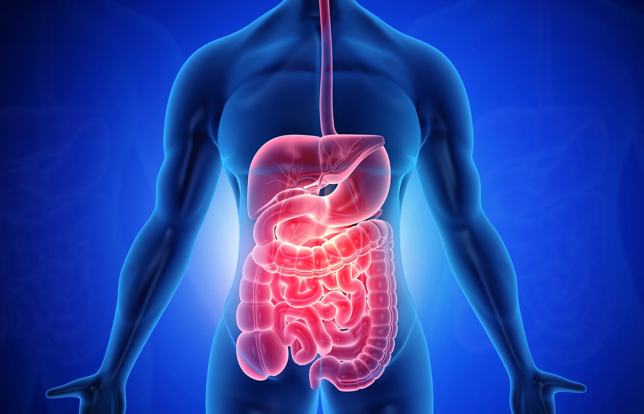 entericNS.jpg