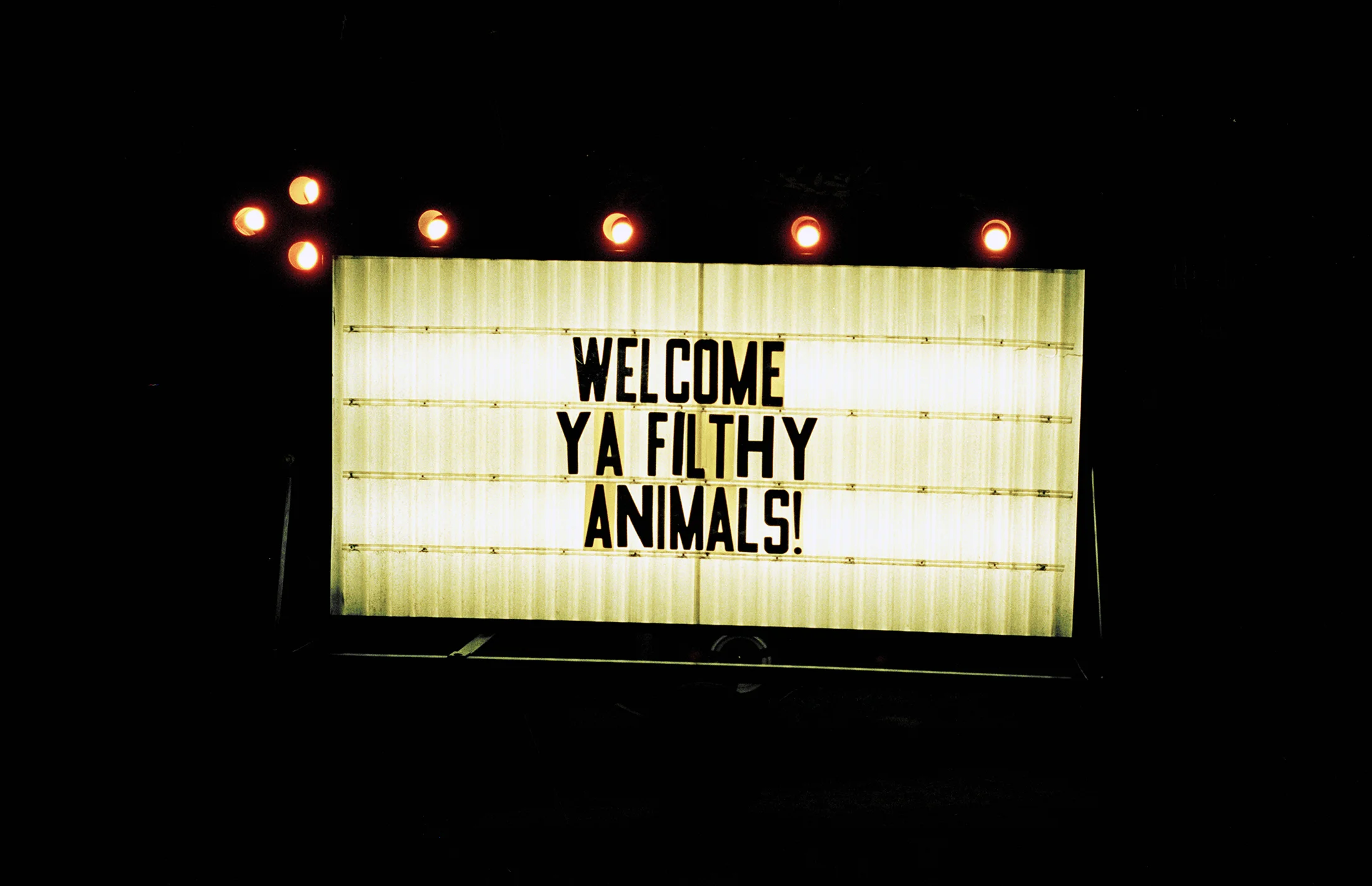 camp_01.jpg