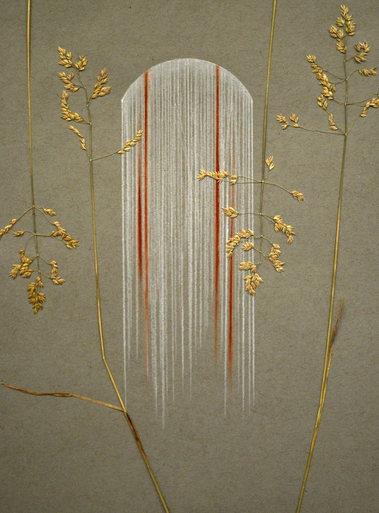  2018, chalk and grass, 18 x 12 inches 