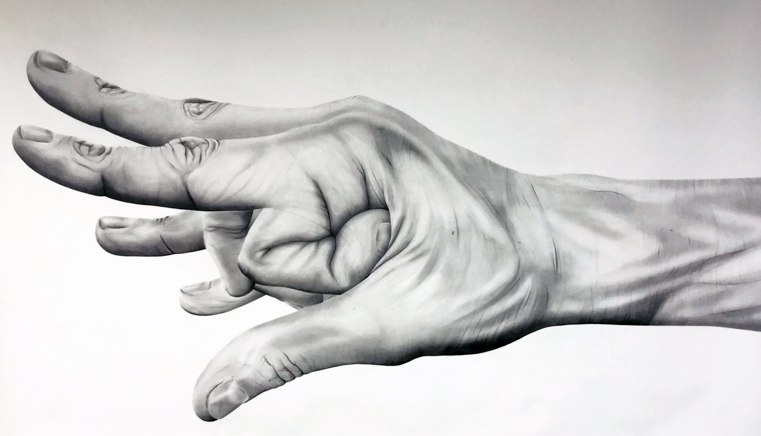  2019, pencil, 3.5 feet x 6 feet 