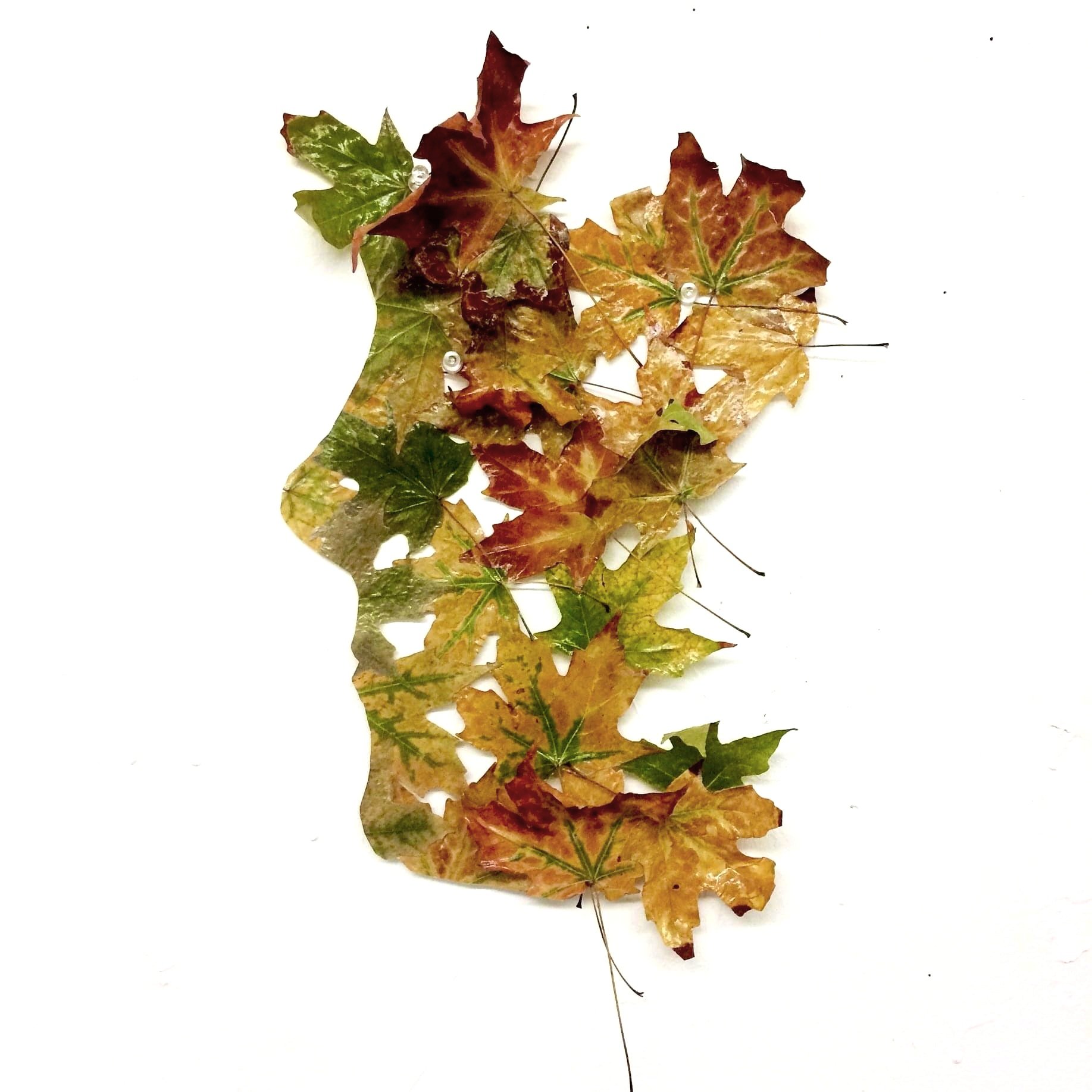  Leaves &amp; Gloss Medium, 2017 