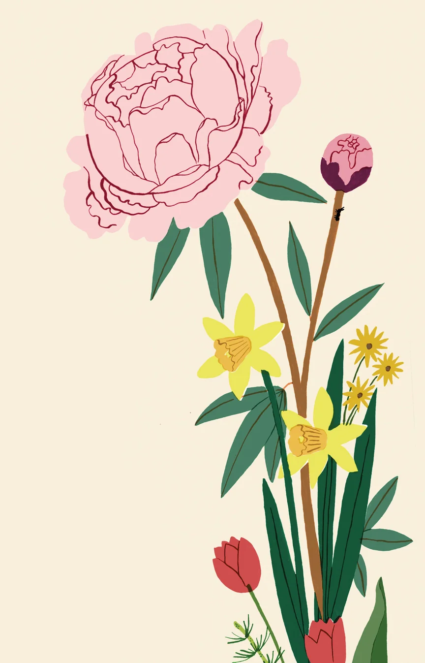 crop-3.jpg