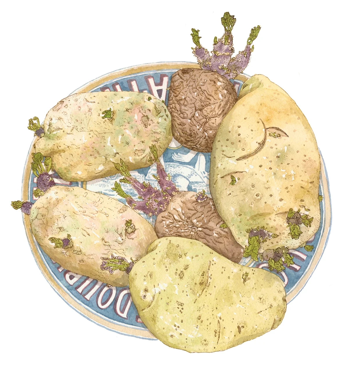 sprouty-potato-150.jpg