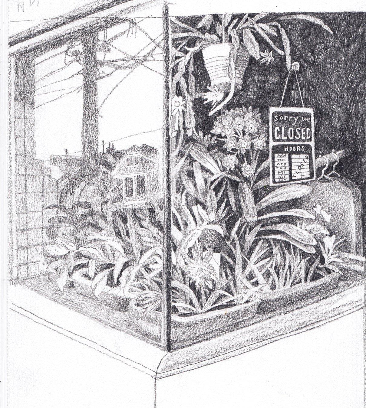 Toronto Window copy-smaller.jpg