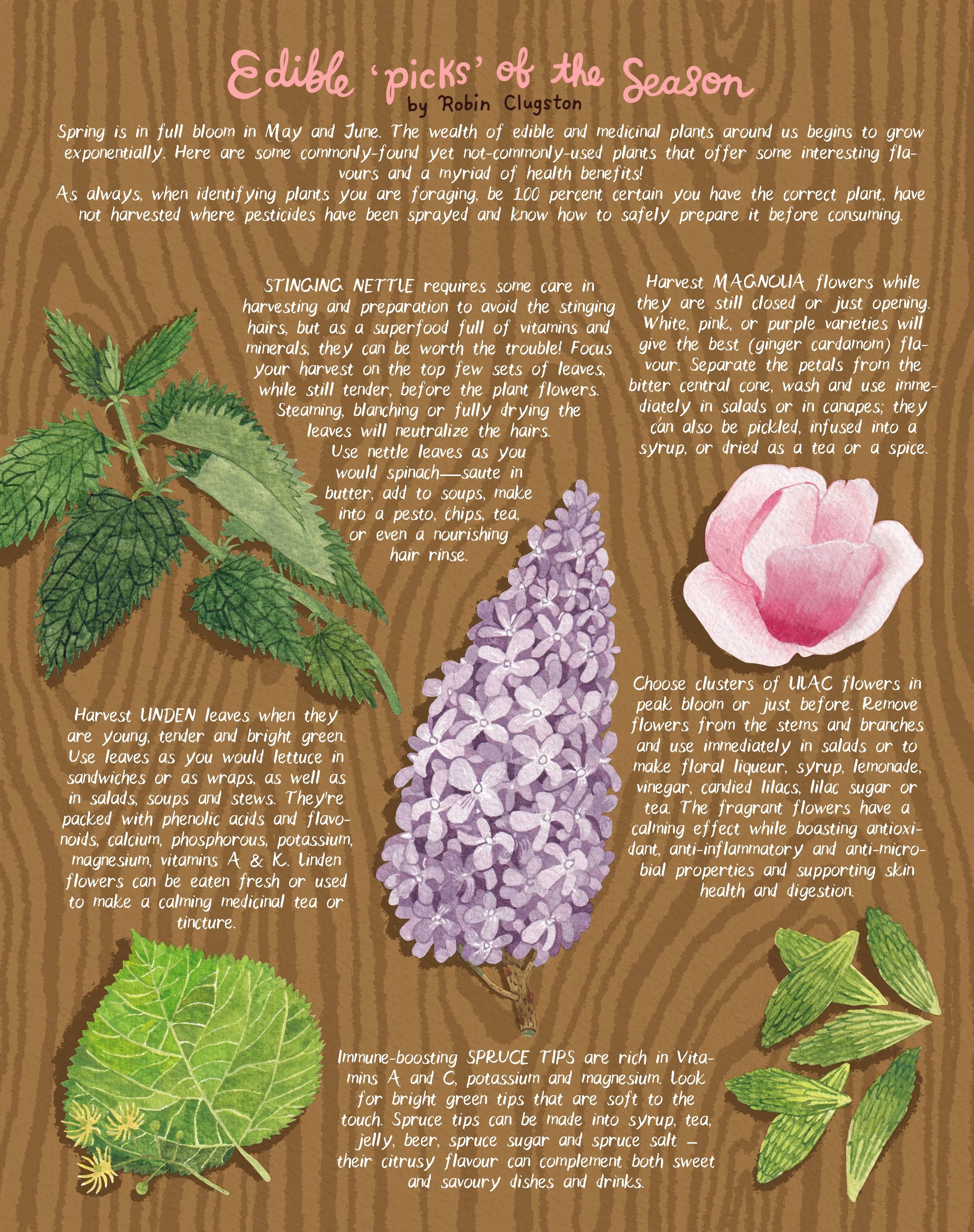 Edible Picks May June.jpg