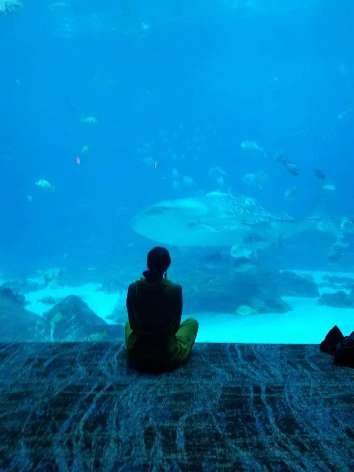 Grounding and Students