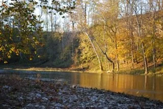 Conservation Committee Meets
