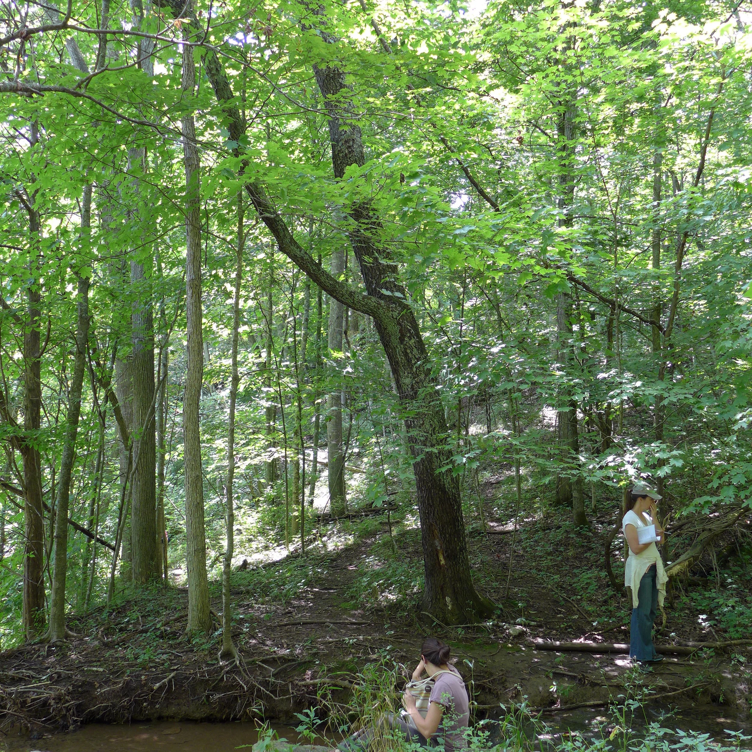 Conservation Committee Meets