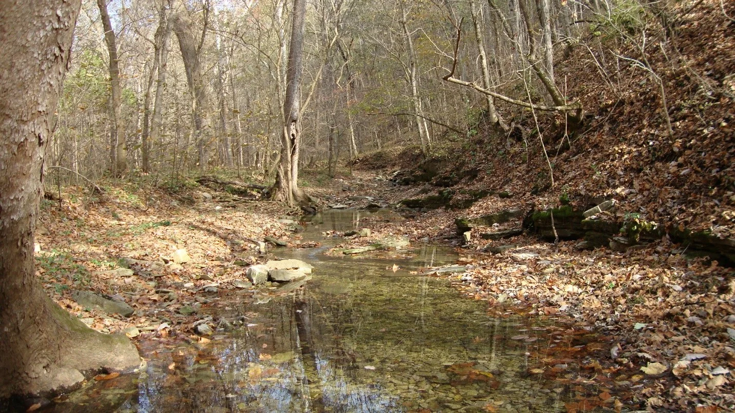 Conservation Committee Meets