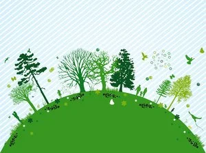 Twenty Trees! @ PSPL