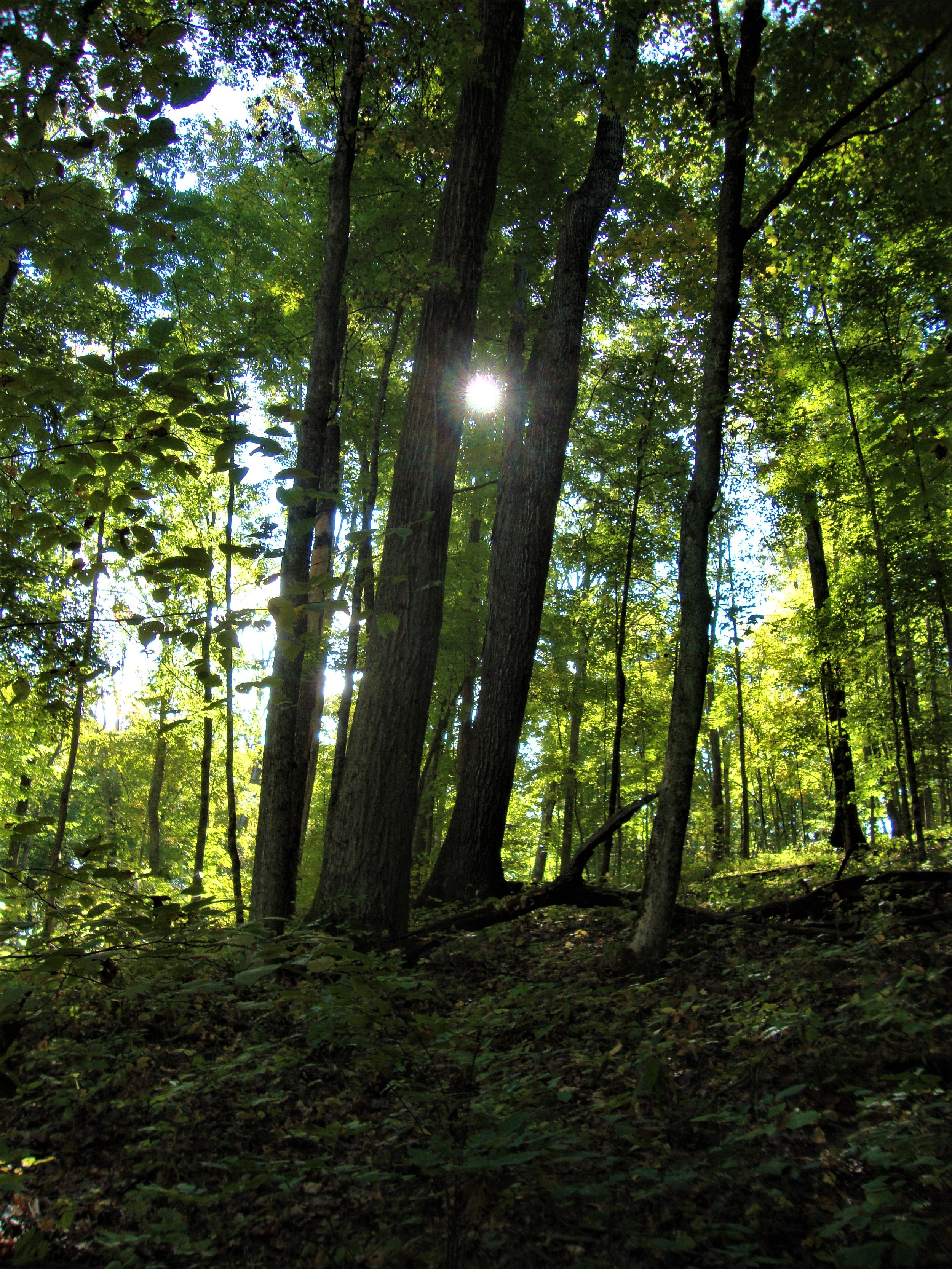 Hike at West Sixth Farm