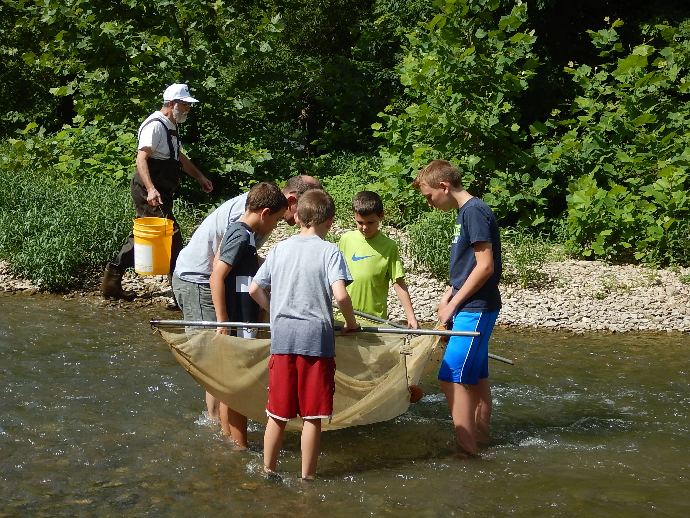 Stream Walk  - Elkhorn Creek