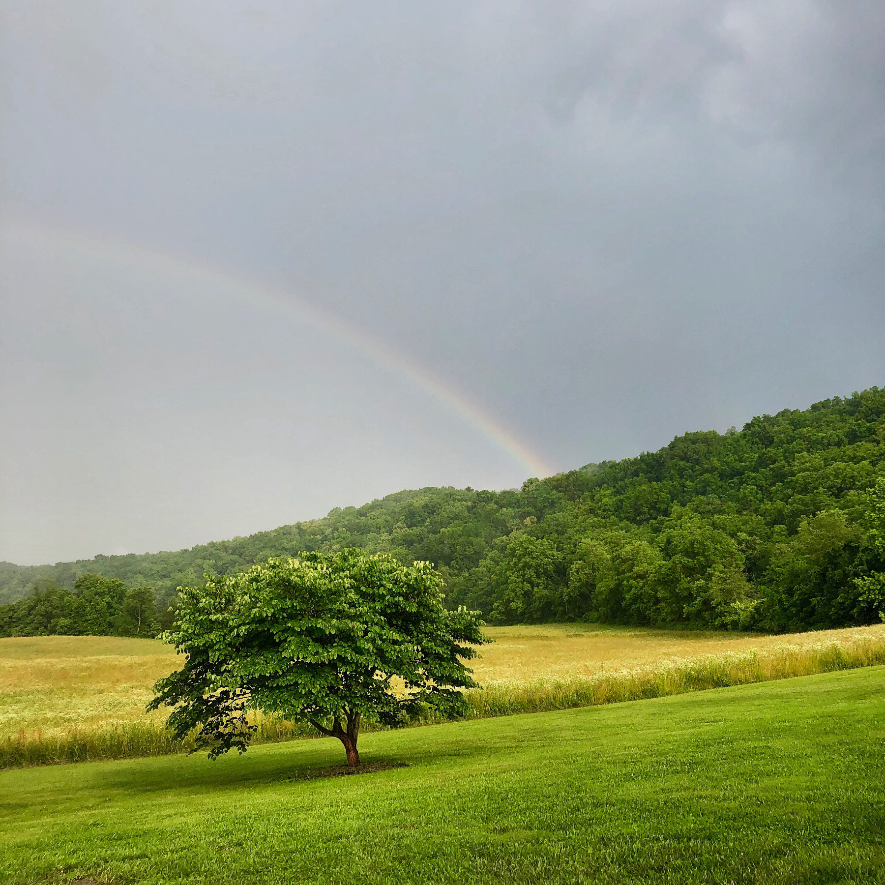 Celebrate Land Conservation!