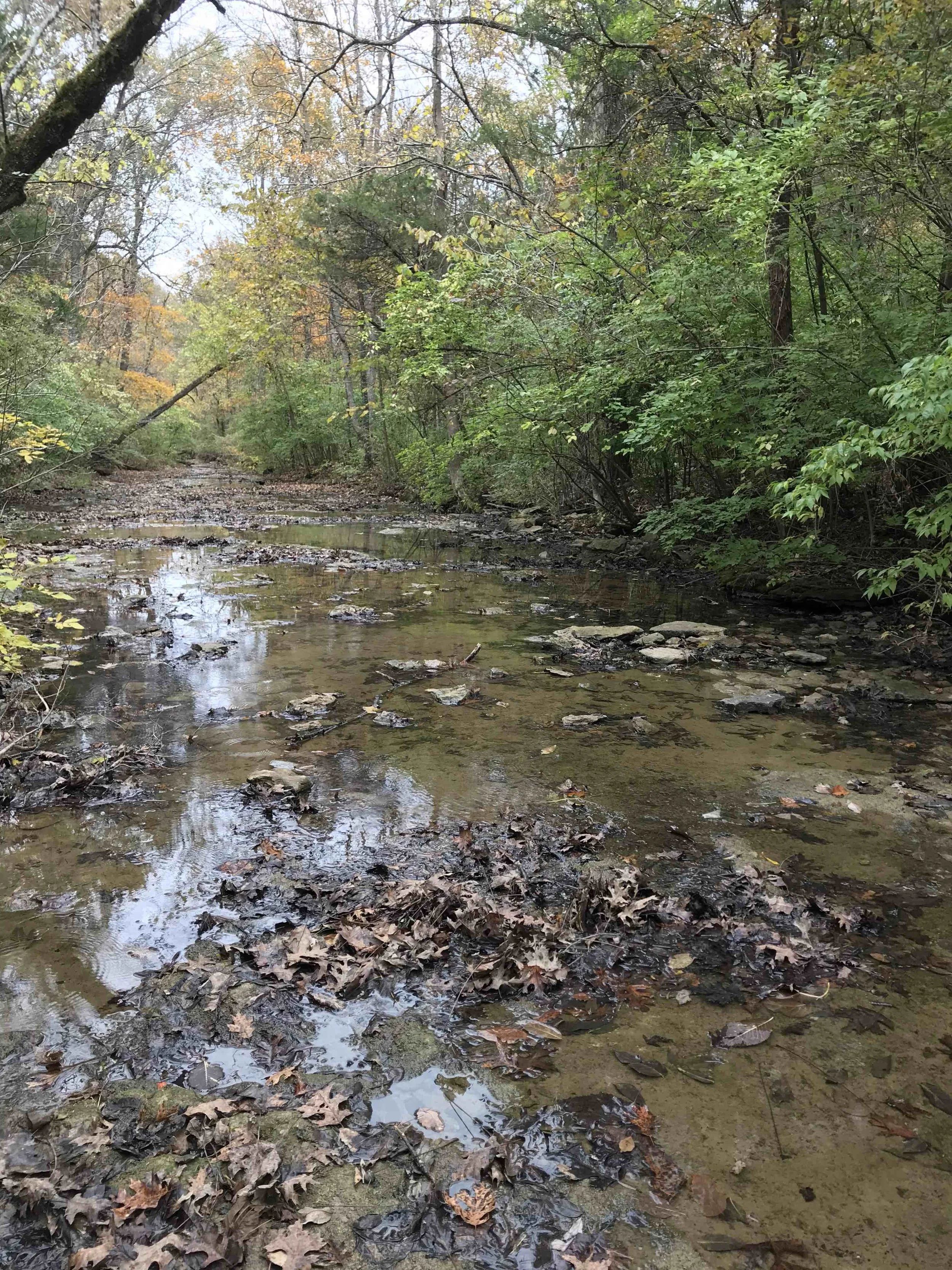 Hiking Club at West 6th Farm