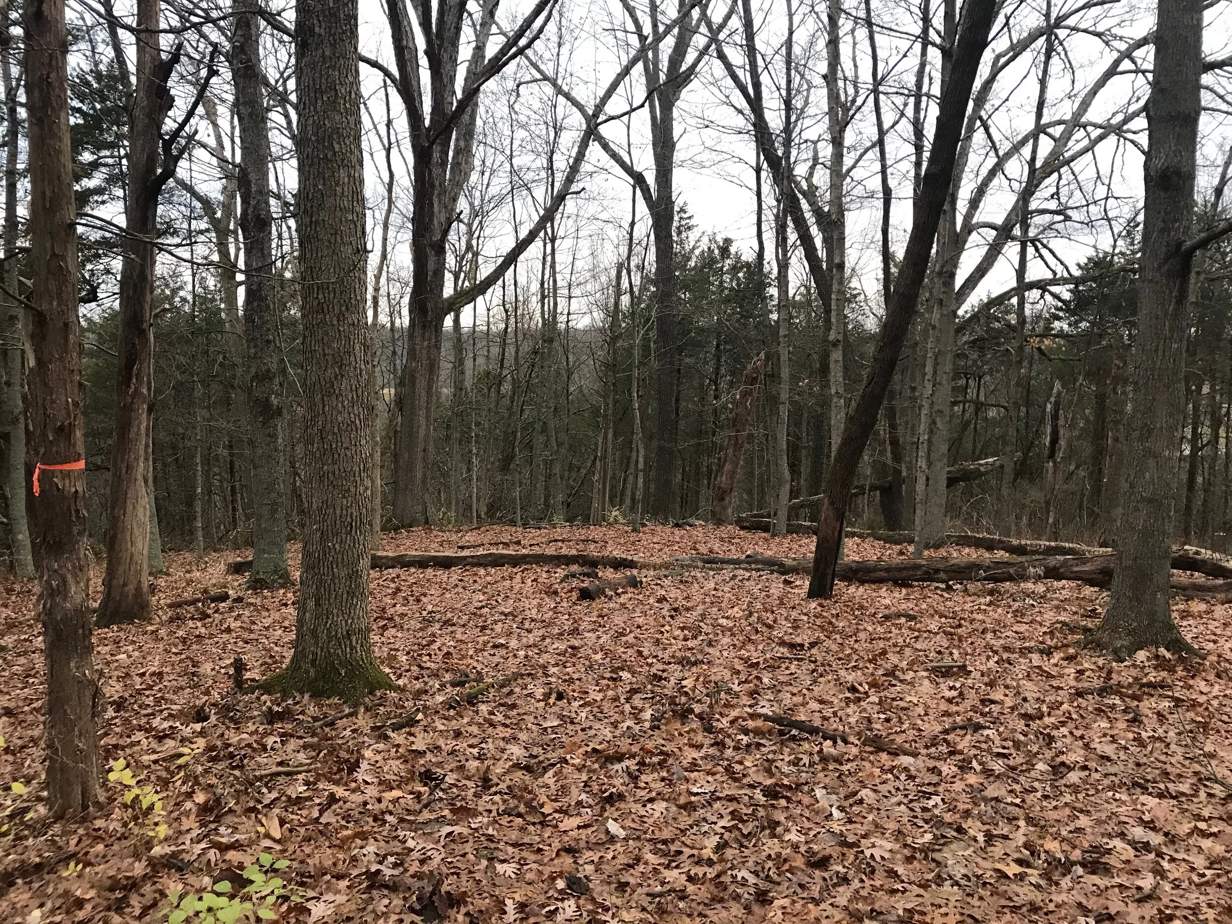 Hiking Club at West 6th Farm