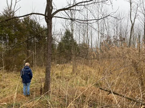 Conservation Committee Meets