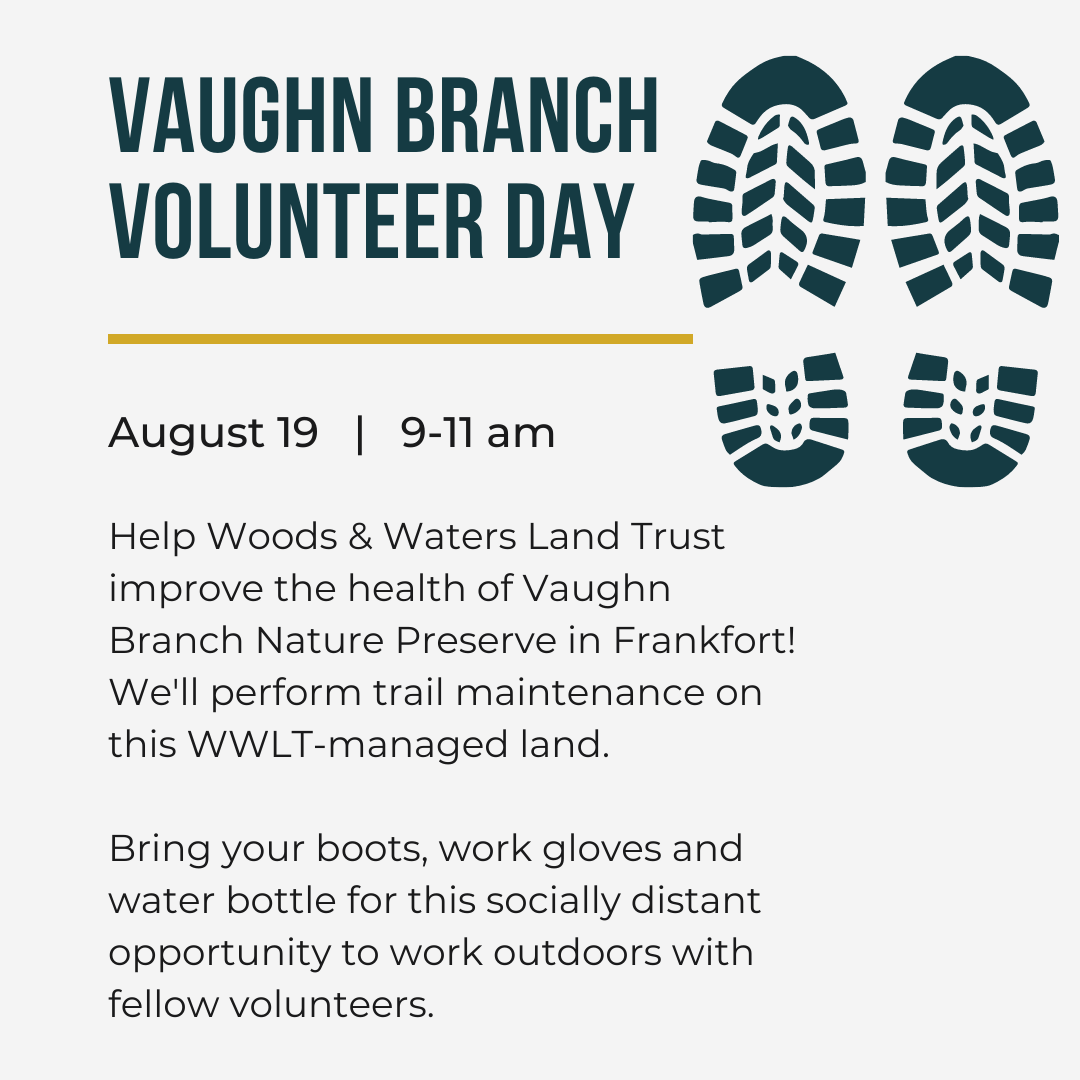 Vaughn Branch Nature Preserve Volunteer Day