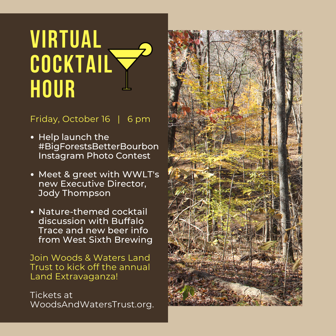 Land Extravaganza -- Virtual Cocktail Hour