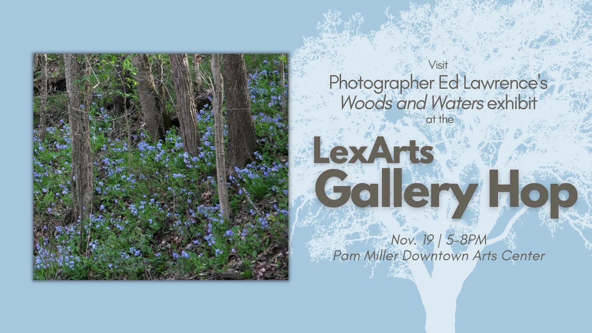 Woods and Waters at LexArts Gallery Hop