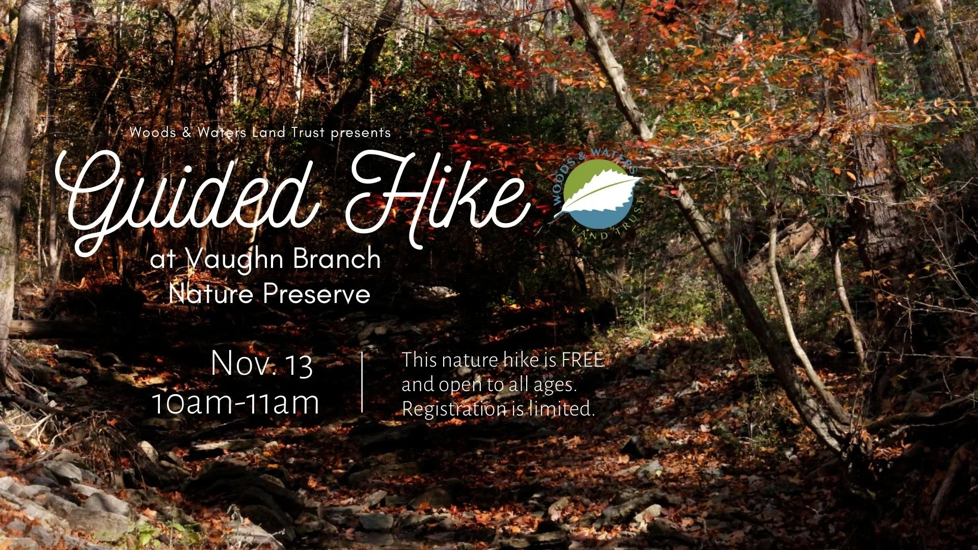 Guided Hike at Vaughn Branch Nature Preserve
