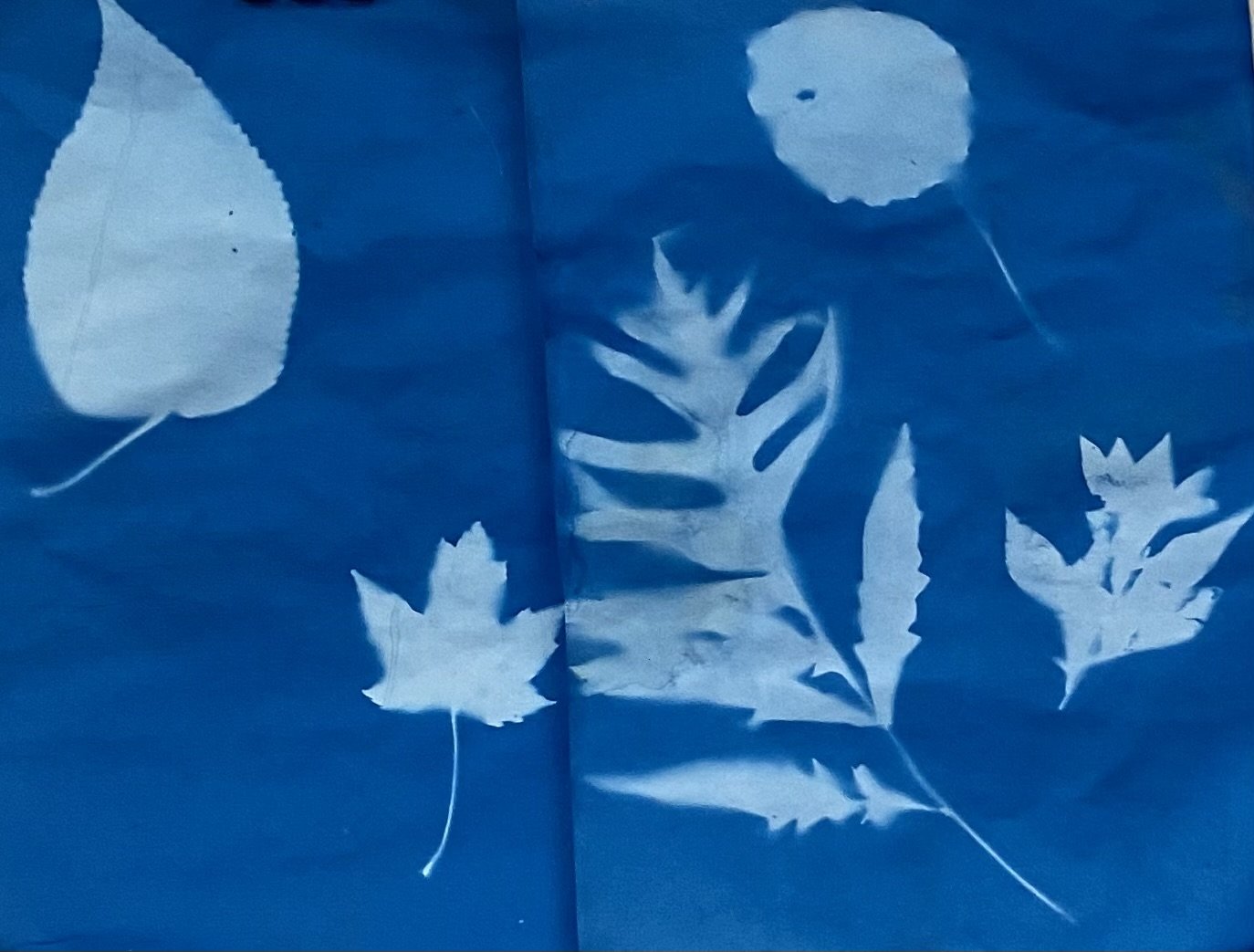 Nature Explorers Art Scavenger Hunt Hike