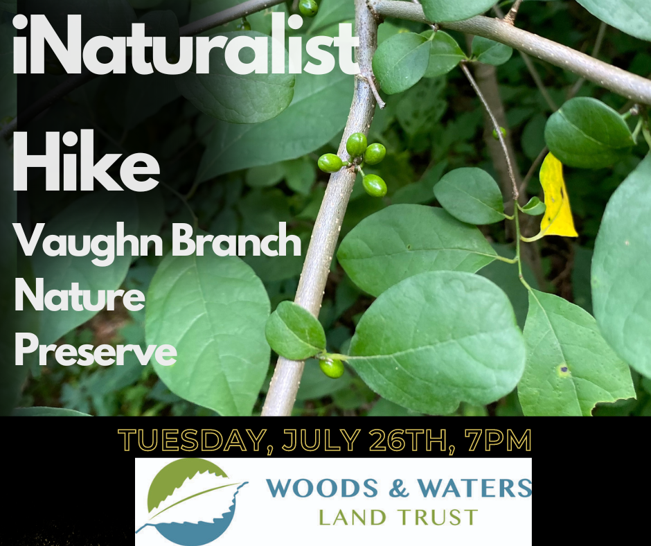 iNaturalist at Vaughn Branch Nature Preserve