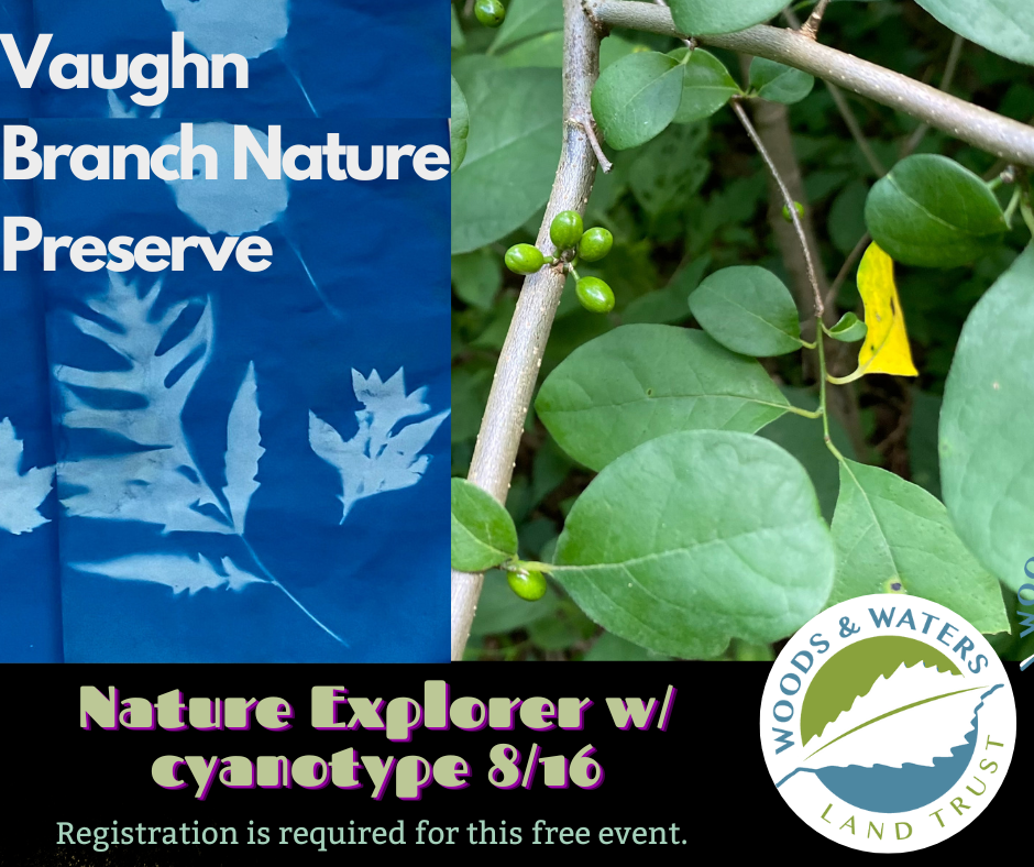 Nature Explorer w/Cyanotype