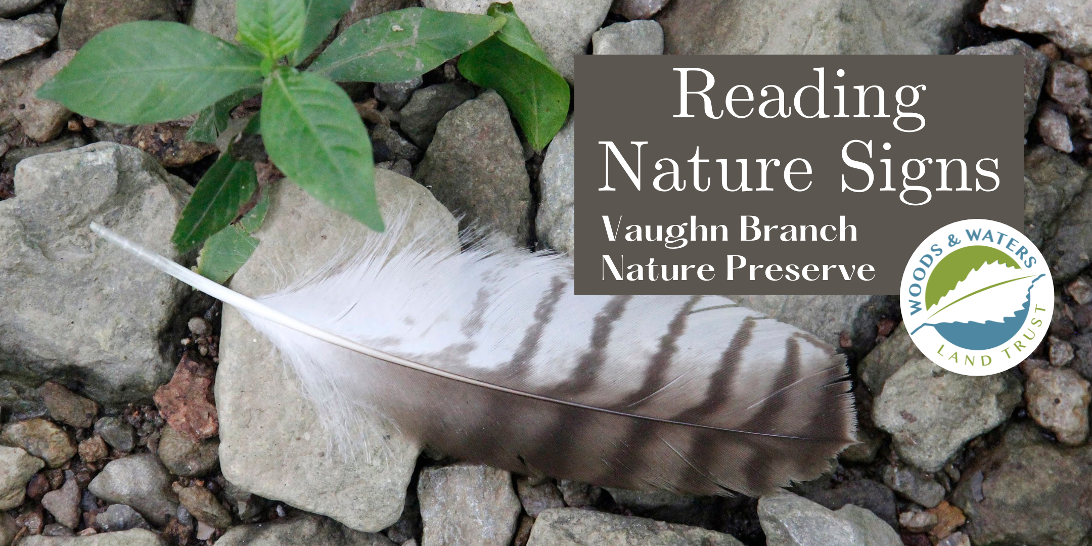 Reading Nature Signs