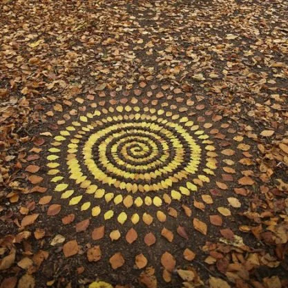 Nature mandala afternoon hike