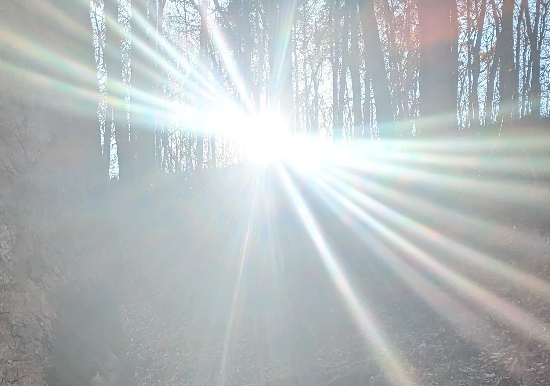Solstice Stroll