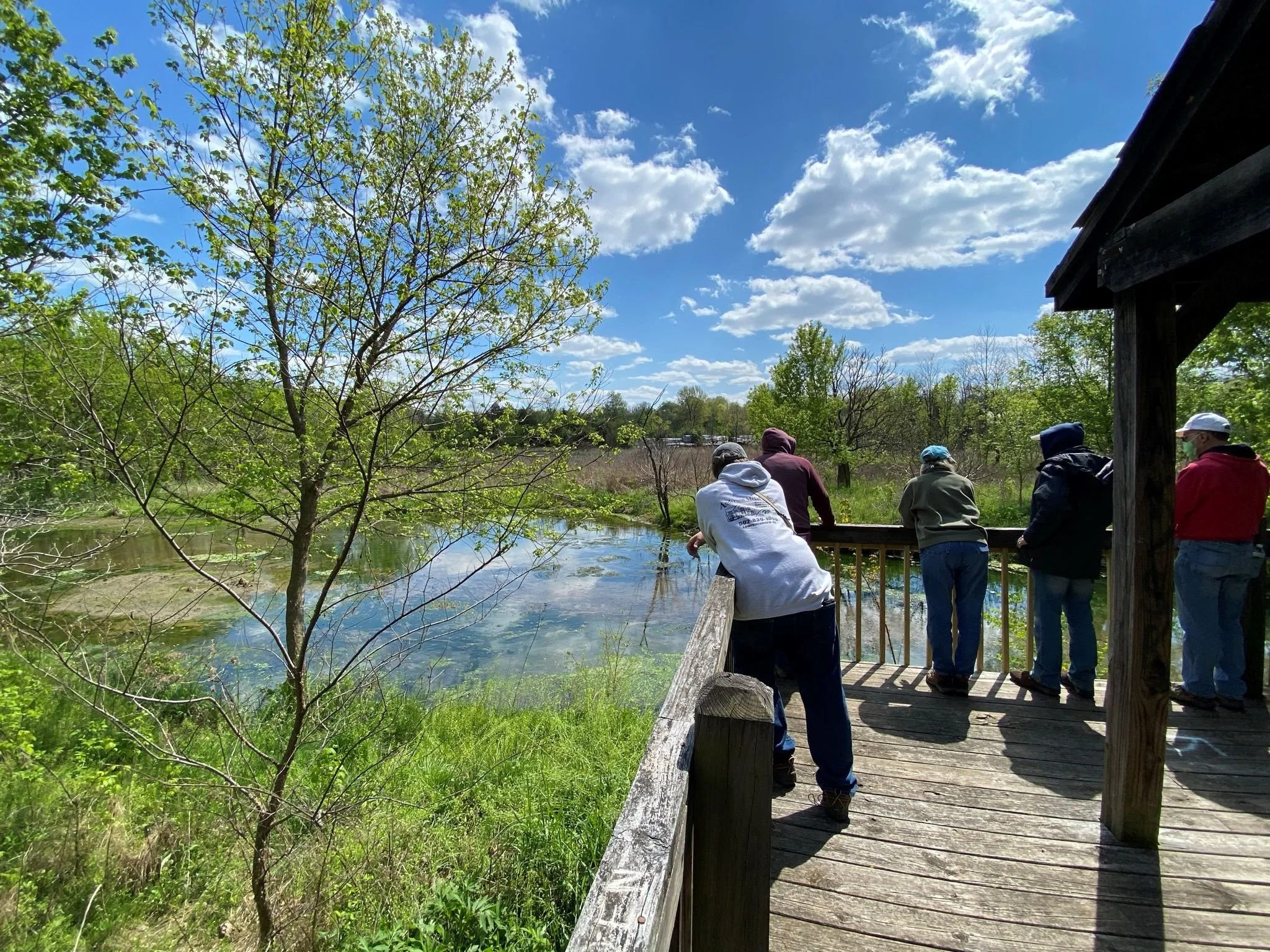 Cove Spring Wetland Bird Walk