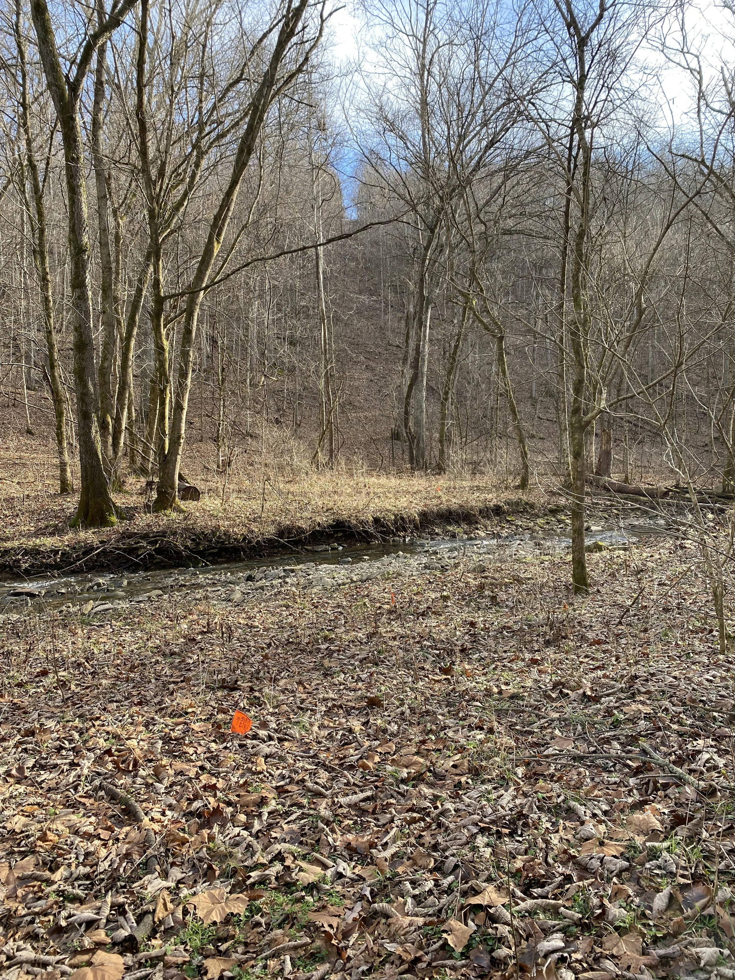 Winter Stewardship Days