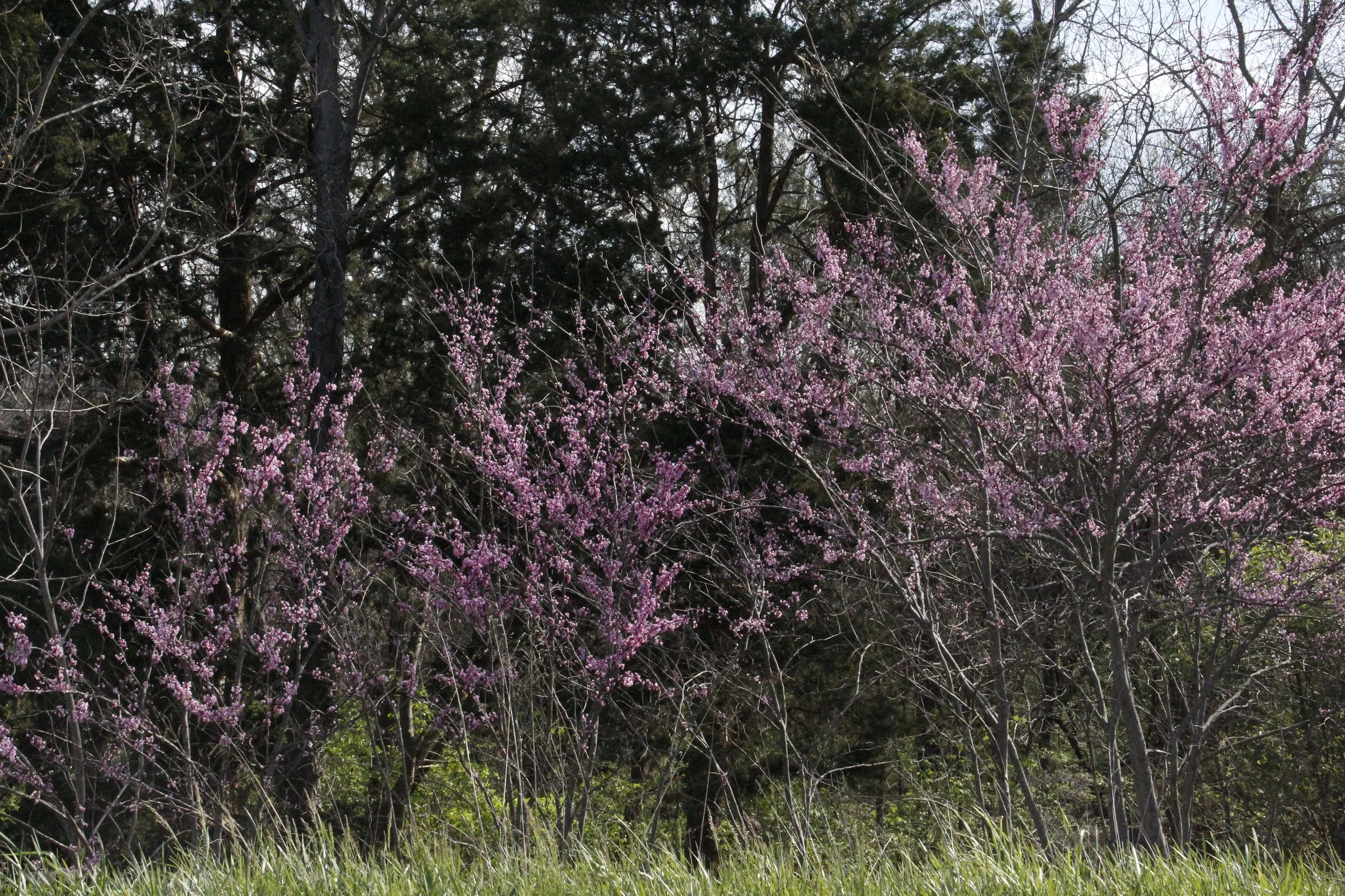 Growing Season Stewardship Days  