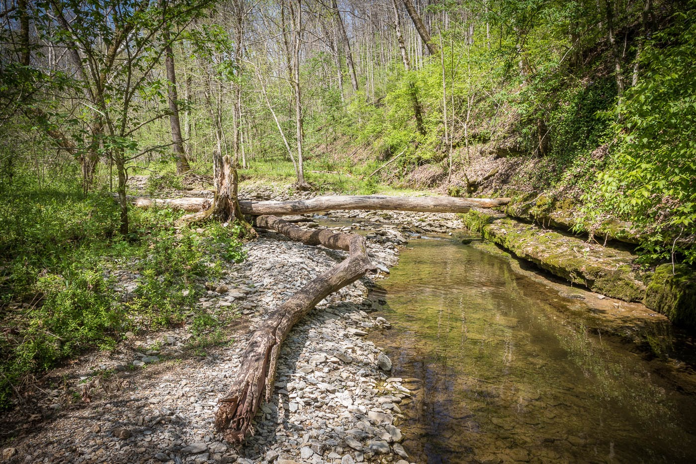Growing Season Stewardship Days