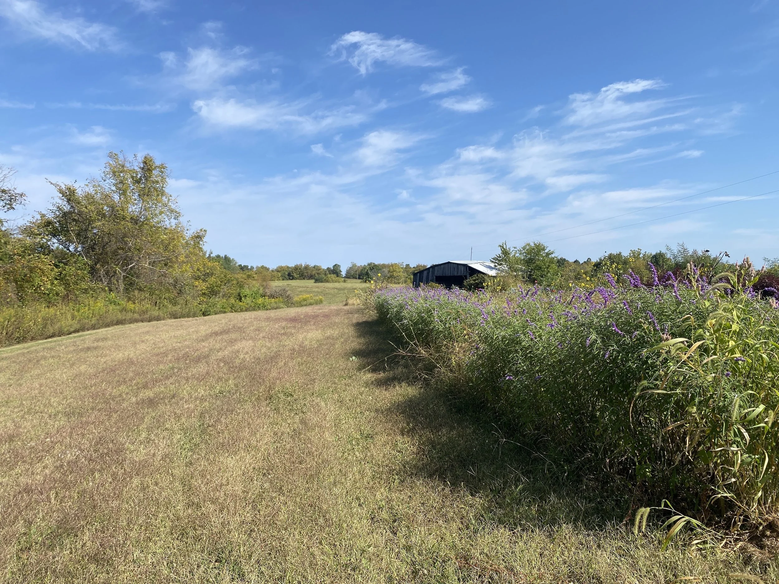 Growing Season Stewardship Days