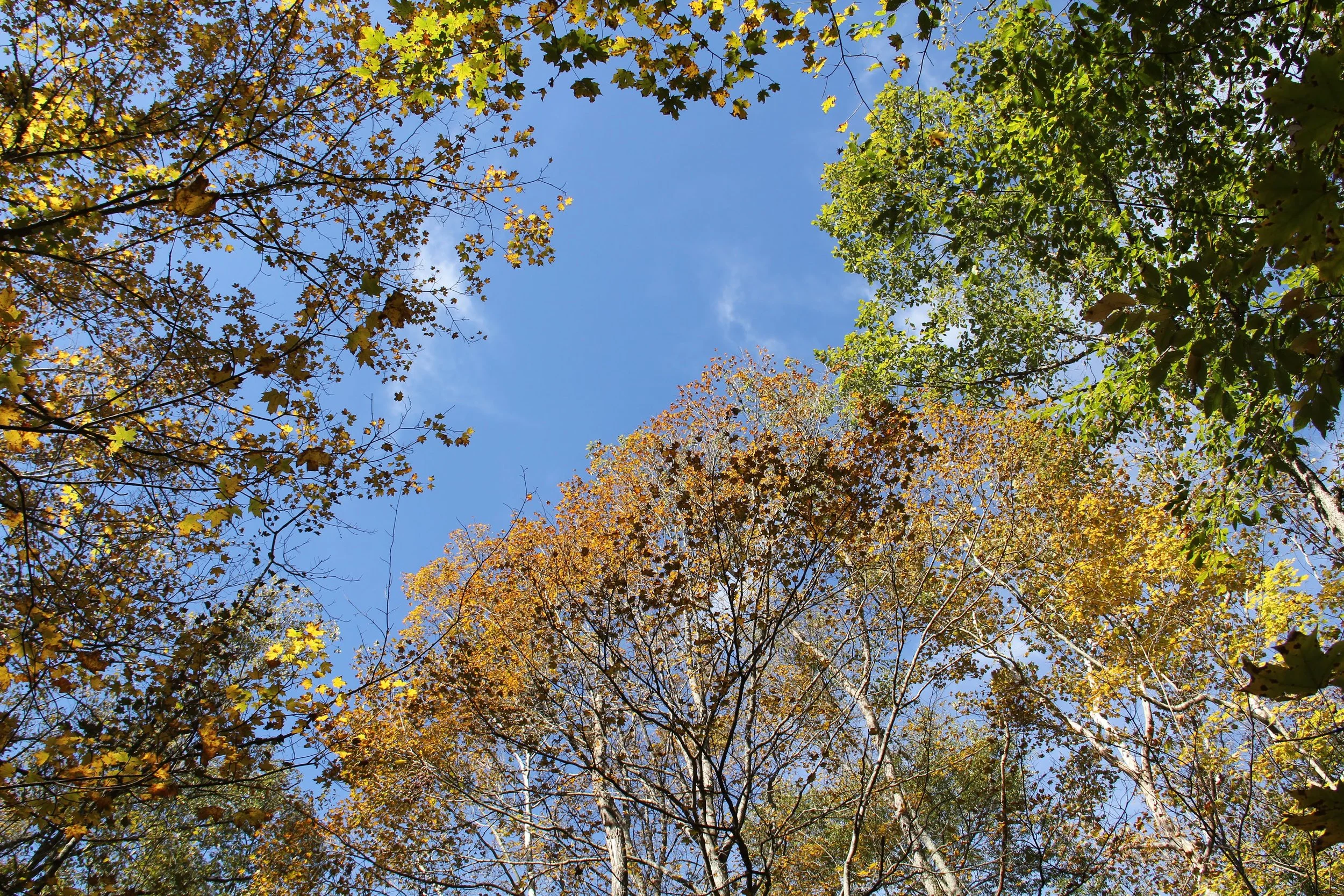 Growing Season Stewardship Days 