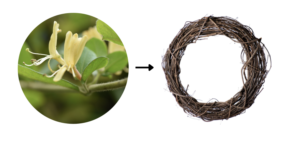 Alchemizing Invasives- Wreath Workshop