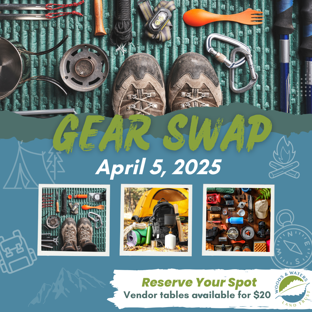 Gear Swap SM Post.png