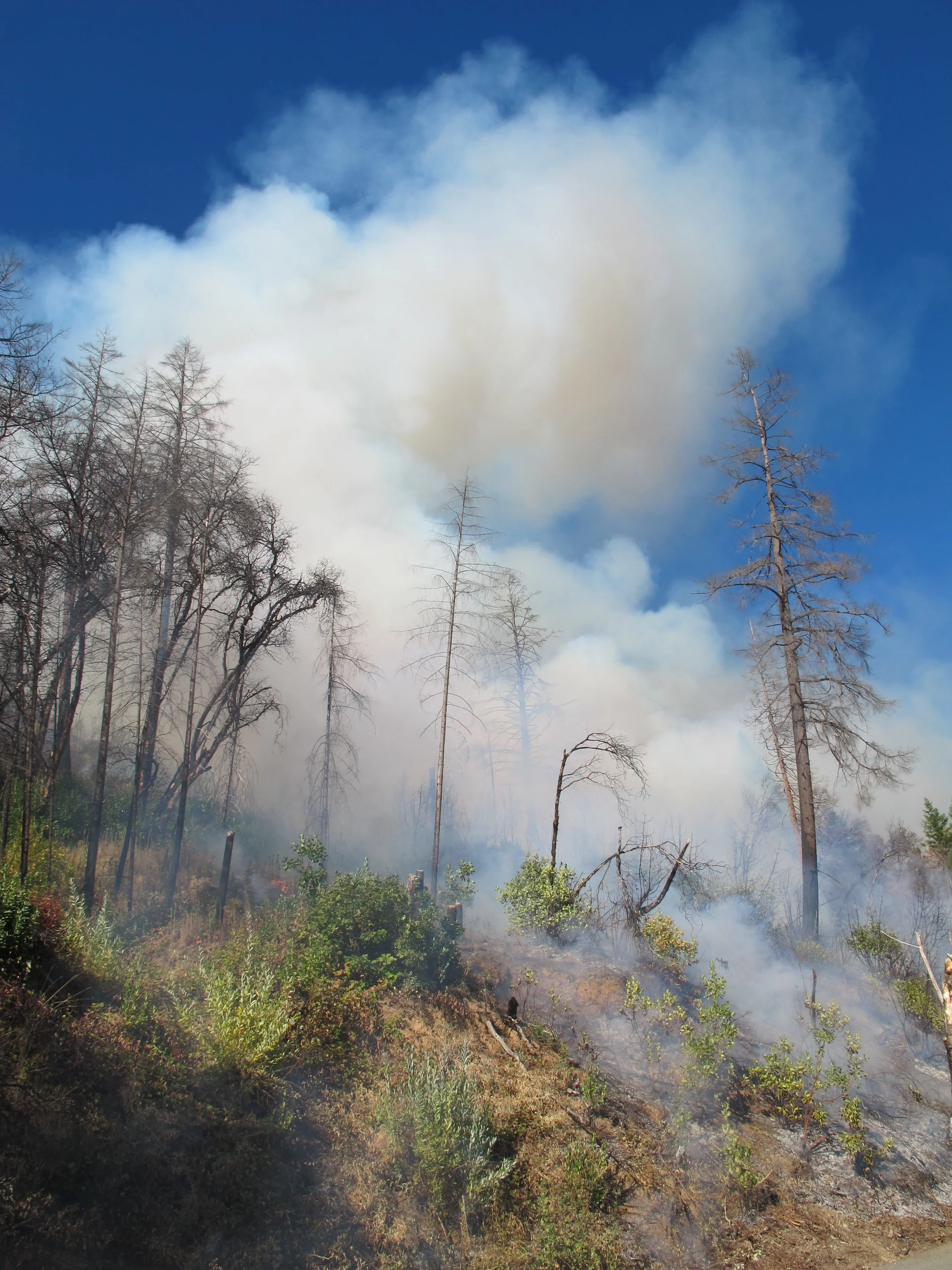 Switchback smoke with a good lift.JPG