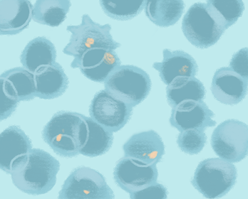 Figure 1: Plasmodium parasites (yellow) within cells.