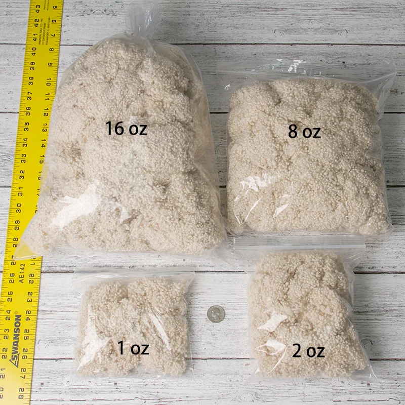nepp sizes web.jpg