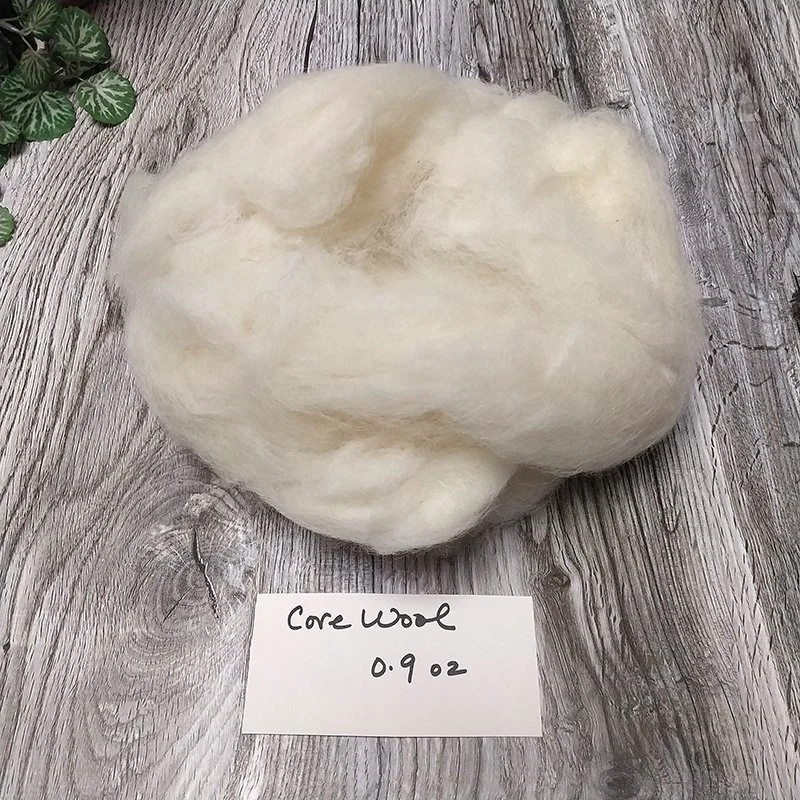 core wool 0-9.jpg
