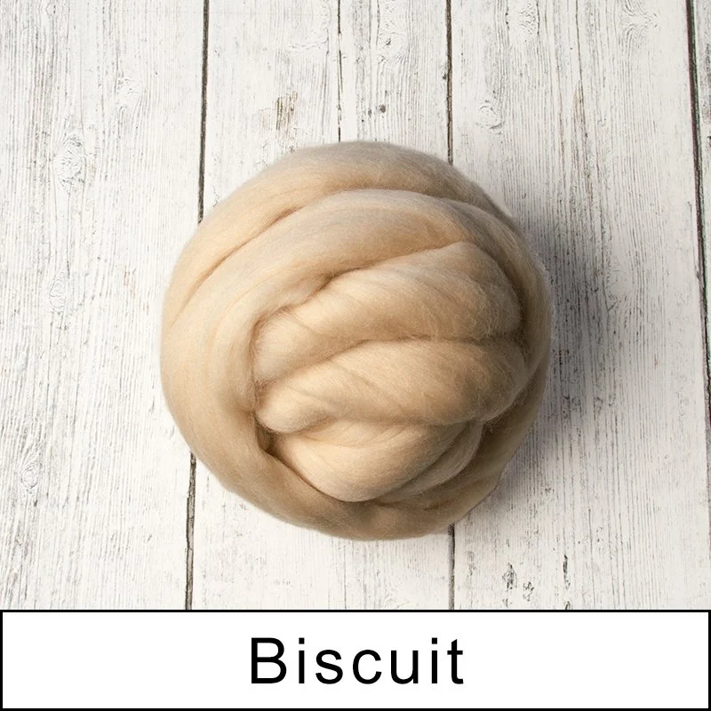 Biscuit 23.jpg