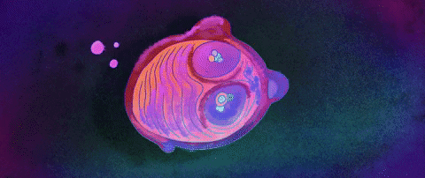 giphy.gif