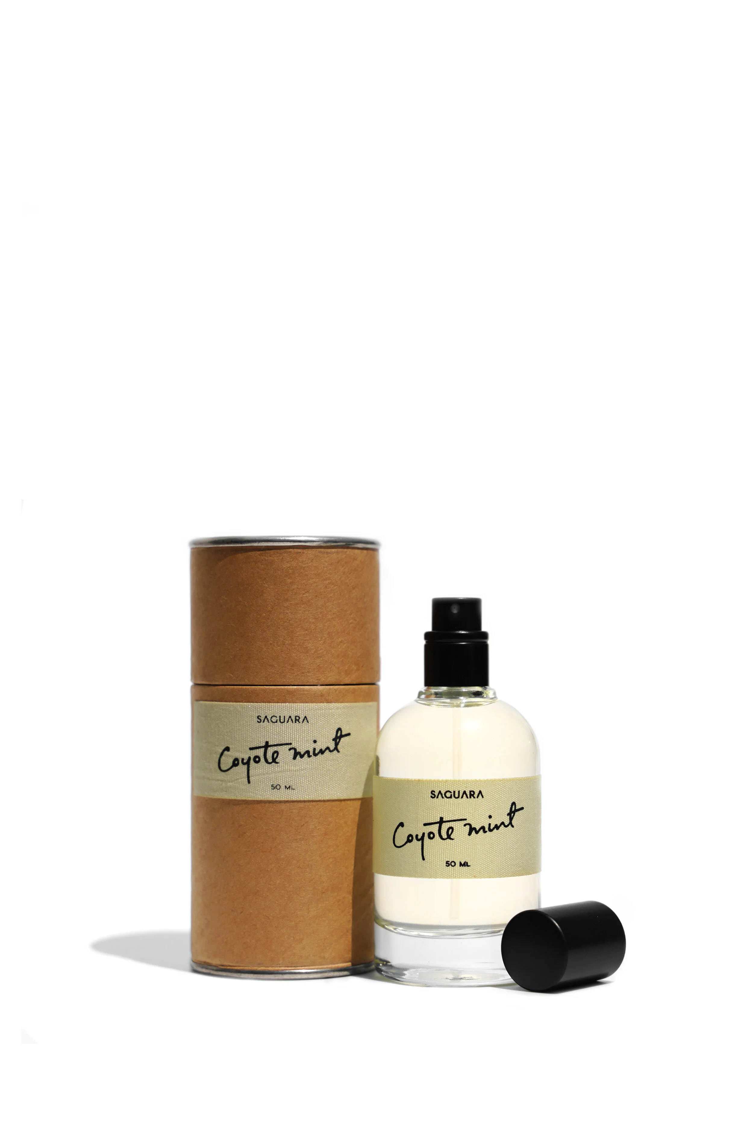 COYOTEMINT_BOX-2.jpg
