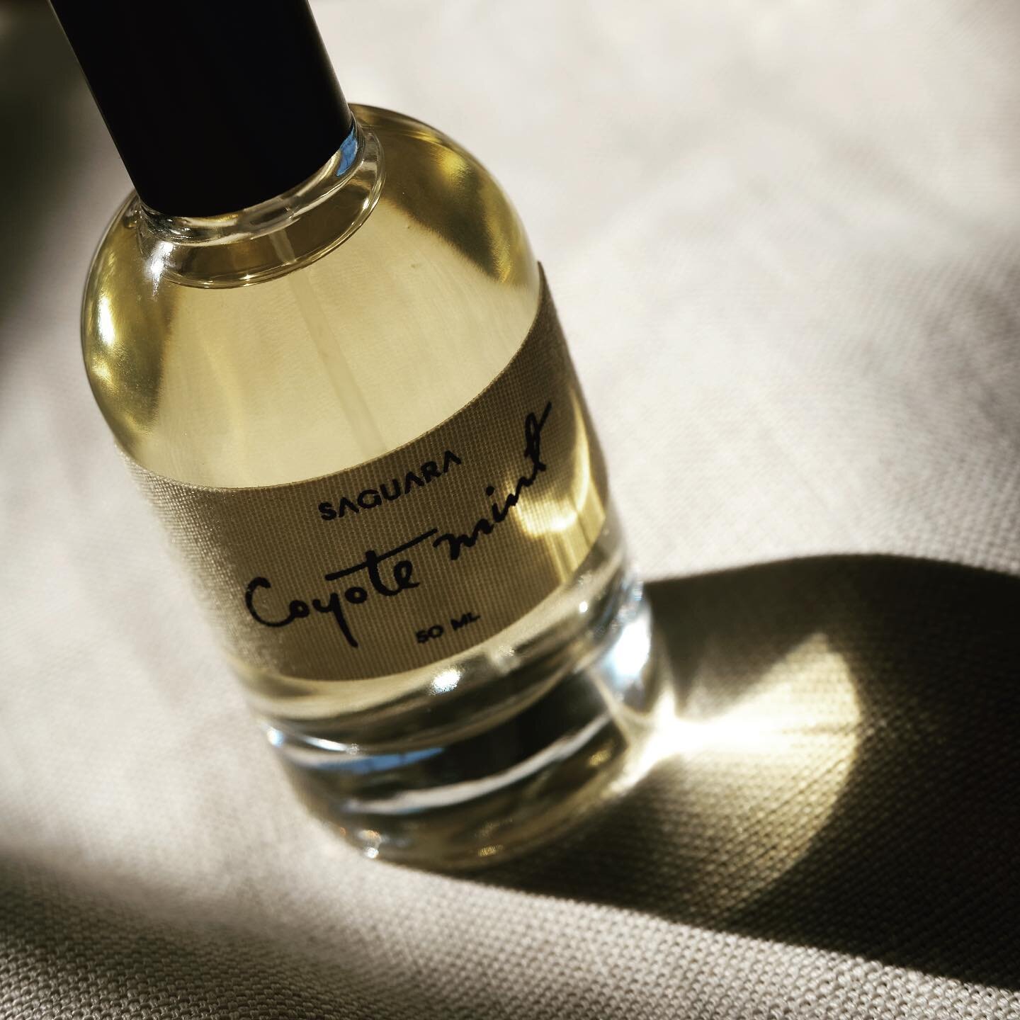 Calming the heat with notes of palo santo and mint @orrisperfumery