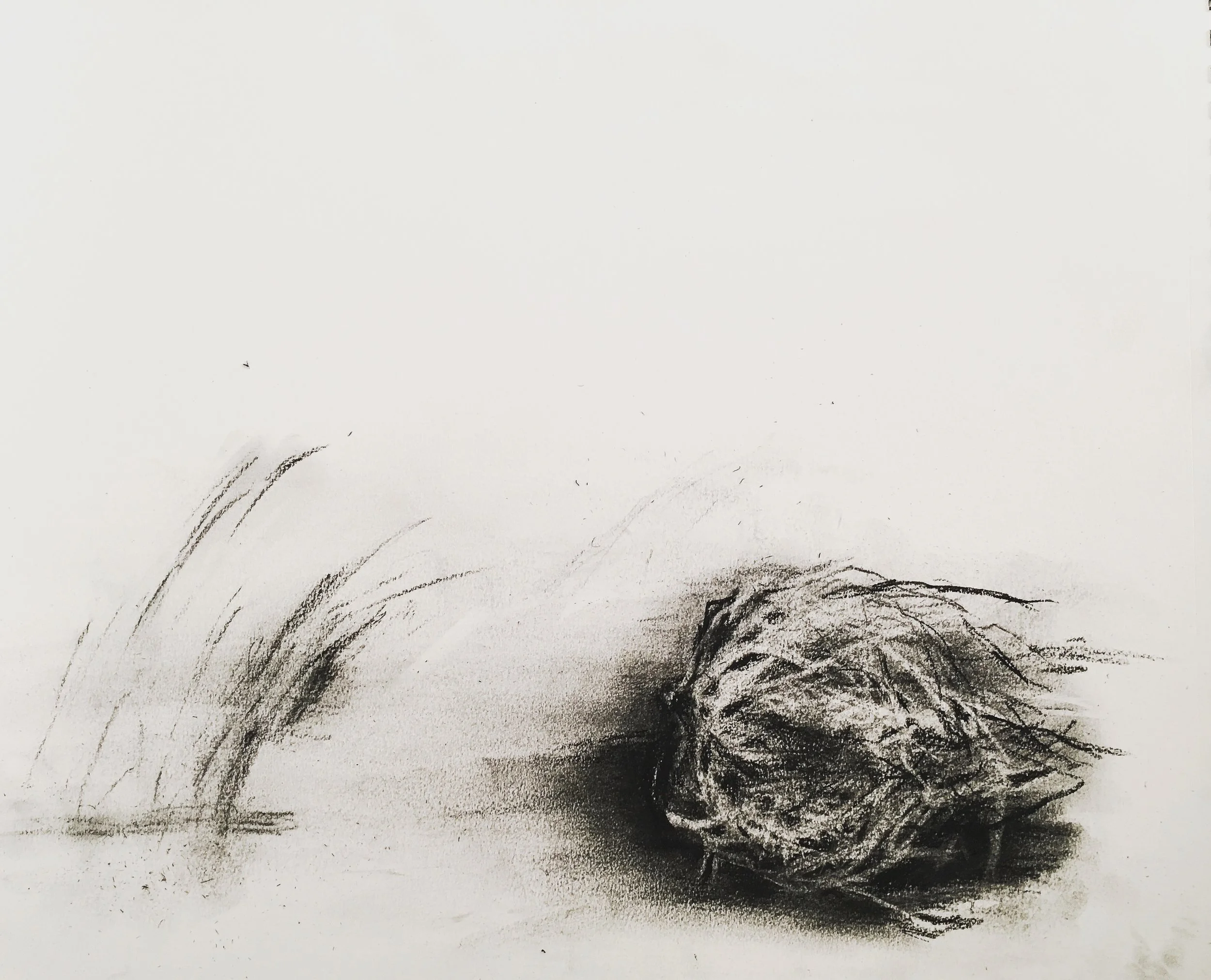 "Tumble" (Marfa study)