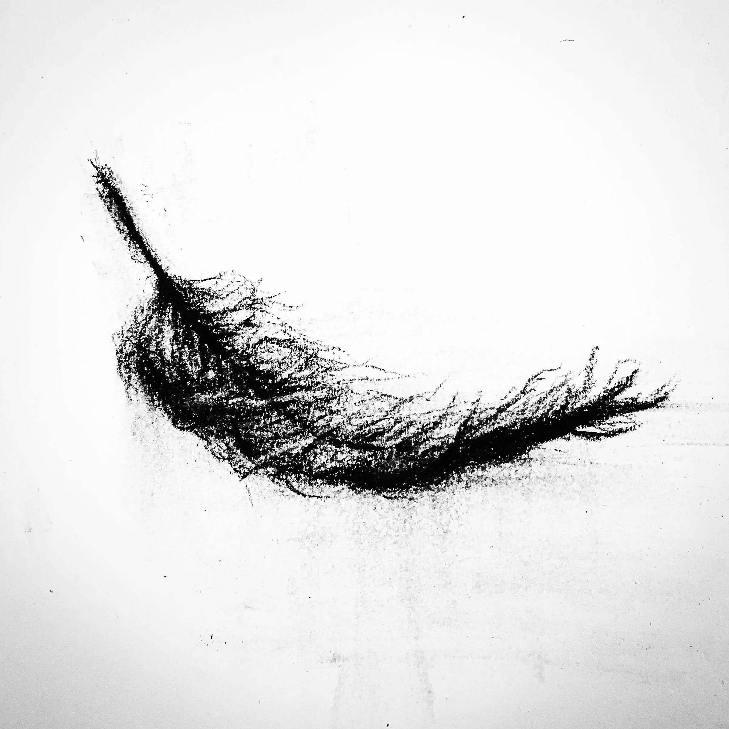 "Light As A Feather"