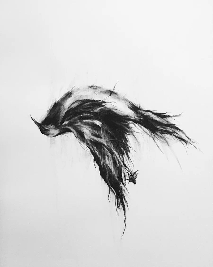rachel-gardner-charcoal-BetweenEarthandSky.JPG